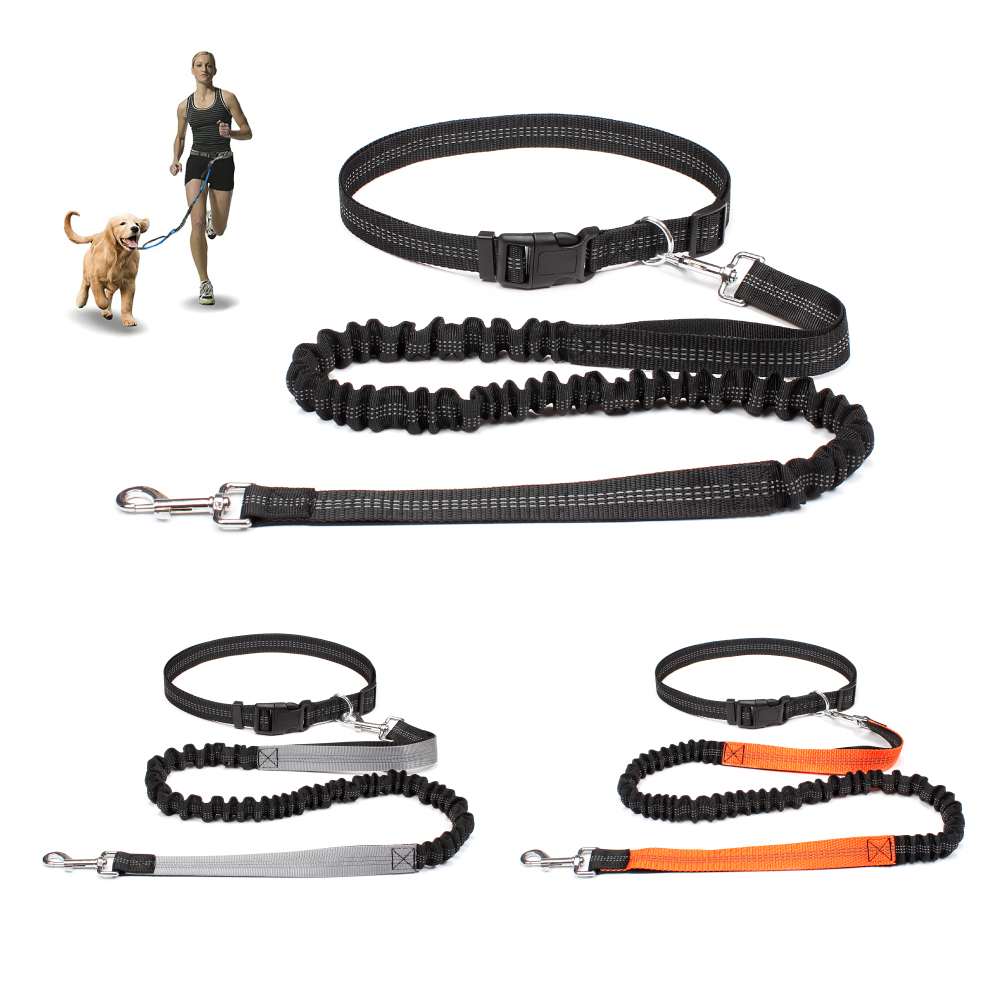 Running Zwift - Tali Anjing Bebas Tangan untuk Mengajak