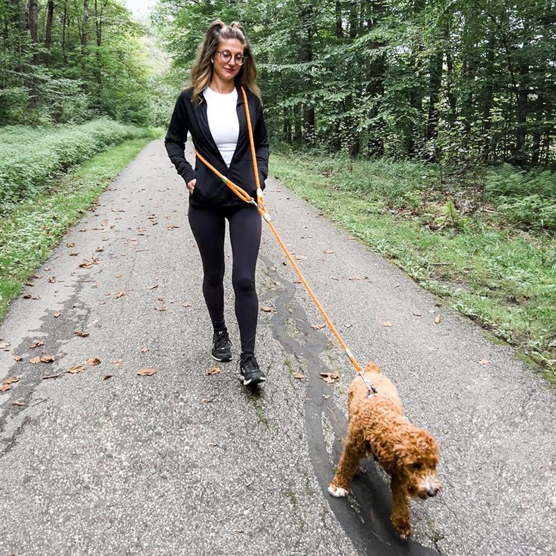 Running Zwift - Tali Anjing Bebas Genggam Reflektif untuk